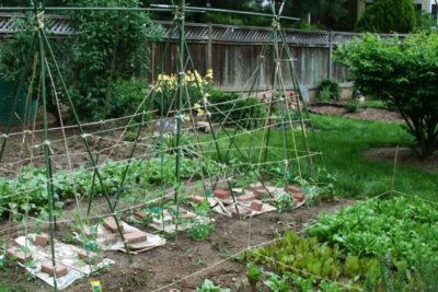 27 ideas y consejos de jardinería de primavera con lista de control para 2022