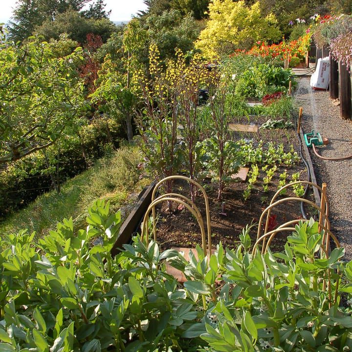 hortalizas jardín terraza
