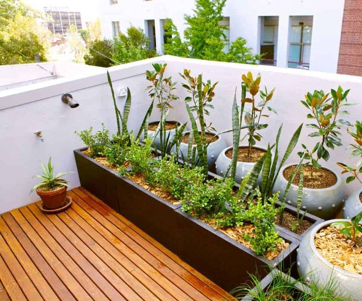 jardinería en terrazas pdf