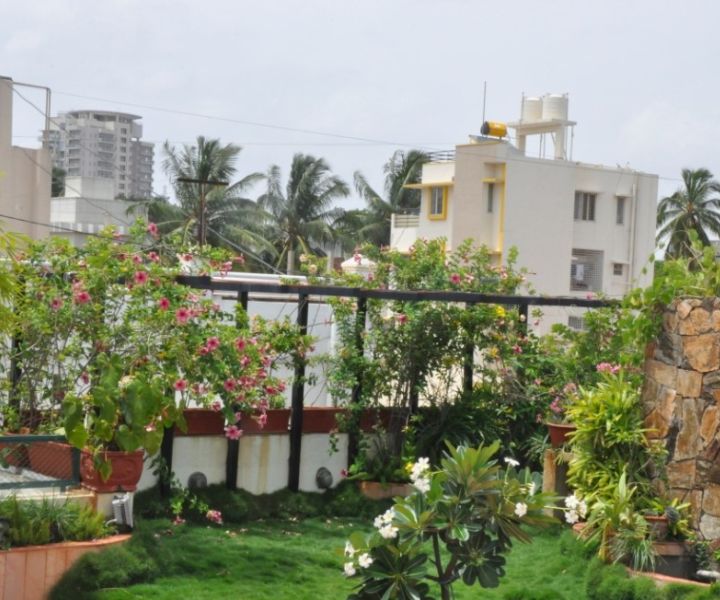 jardinería orgánica en terrazas en bangalore