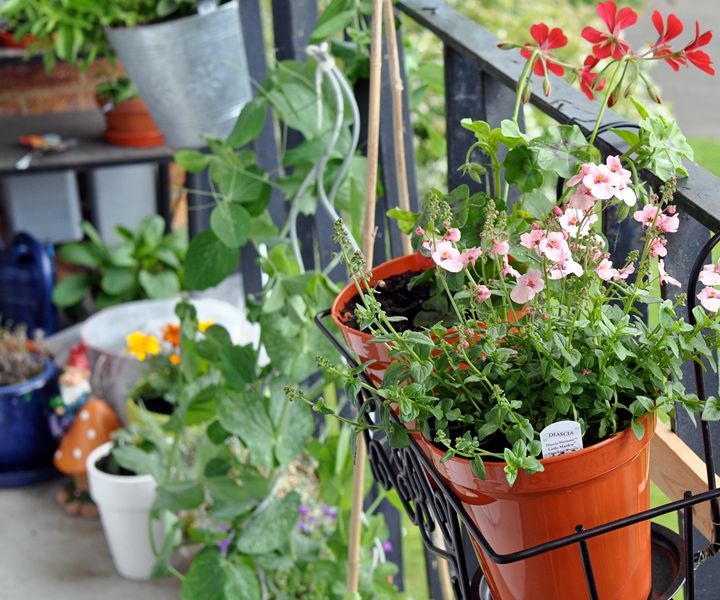 bolsas de cultivo para jardinería de terraza