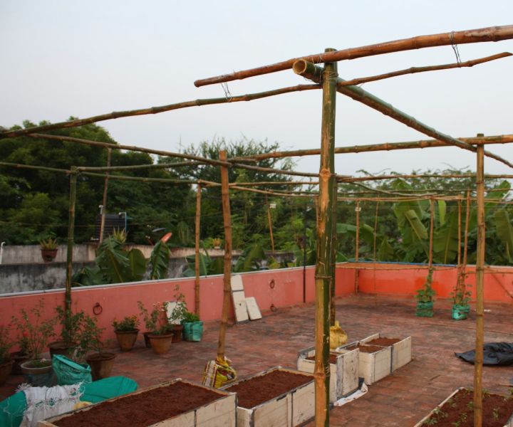 jardinería en terrazas en chennai