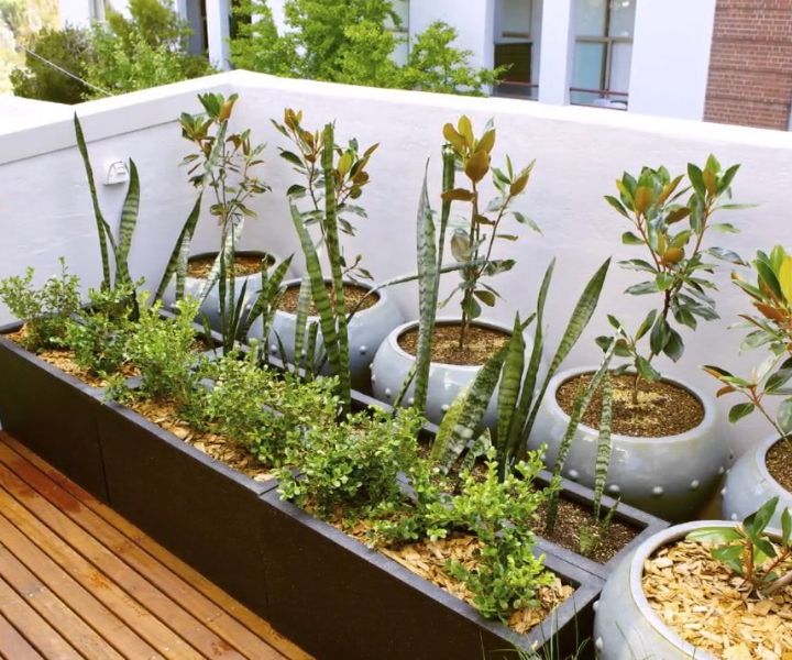 macetas de jardinería para terrazas