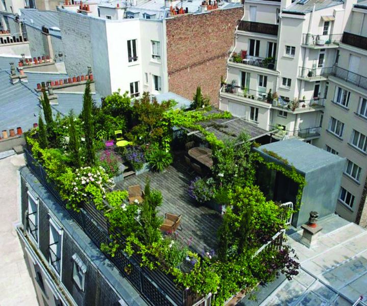 cómo hacer jardinería ecológica en terrazas