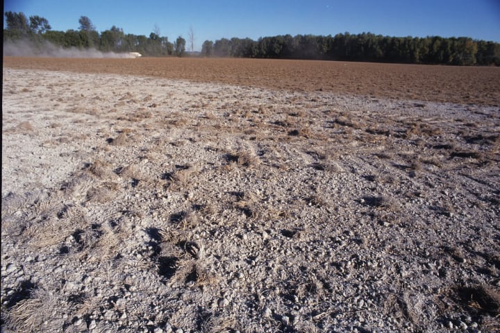 capa de cal en el suelo agrícola