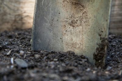 6 Types of Soil Explained & How to Check Your Soil Type Fast