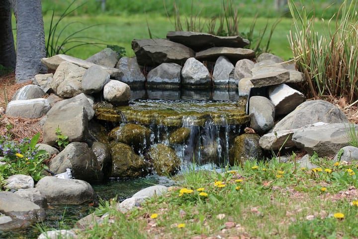 rocas de jardín en el estanque