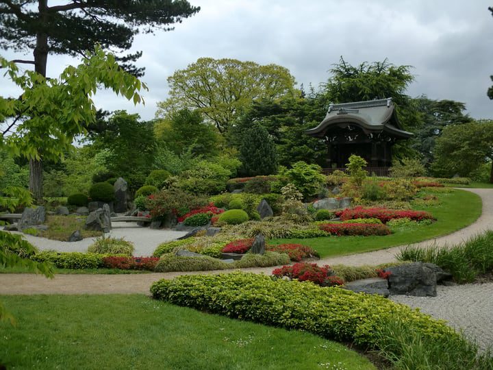 jardín japonés con plantas, flores y rocas