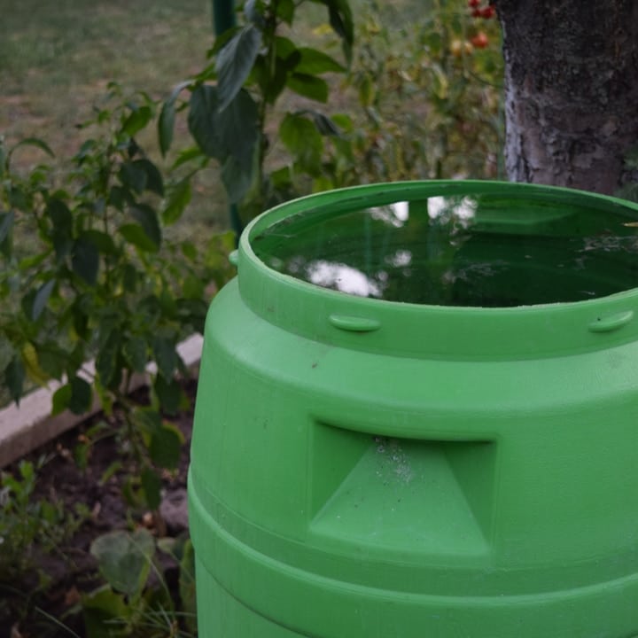 recogida de agua de lluvia en el contenedor verde