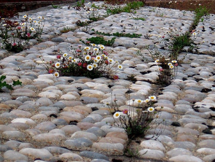 jardín de rocas con guijarros