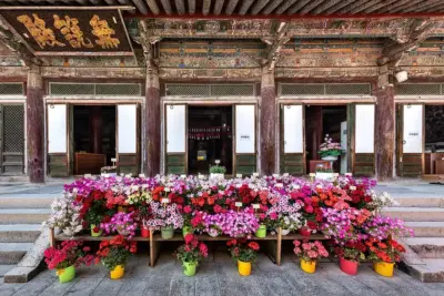 41 Mejores macetas y jardineras para interior y exterior