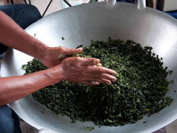 Enrollar las hojas de té