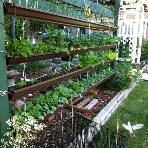 Jardinería vertical de exterior