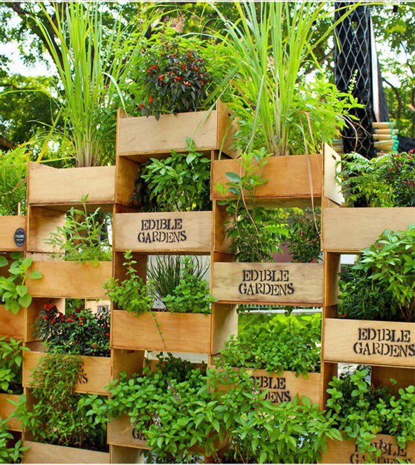 Cajas de jardinería vertical