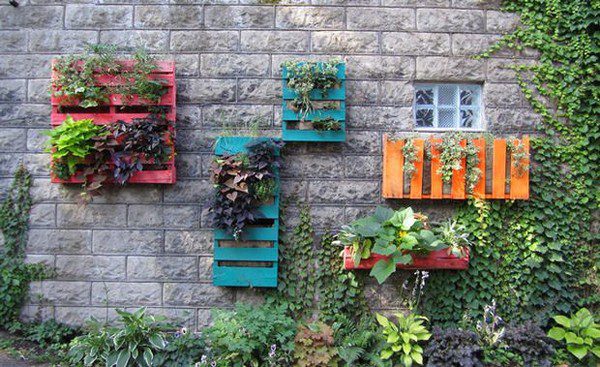Jardinería vertical con palets