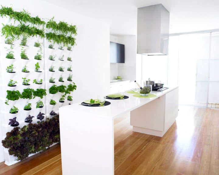 jardín vertical de pared de interior minimalista