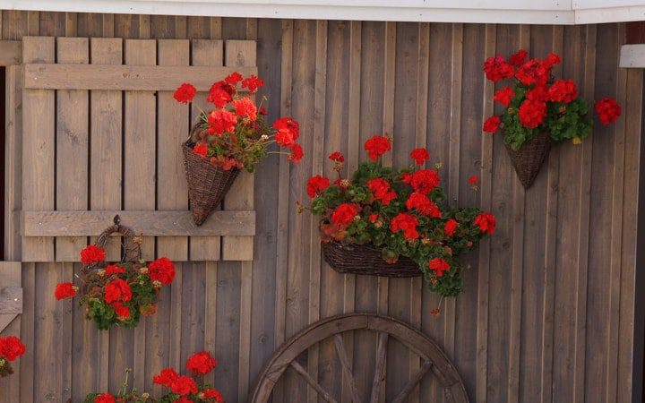 valla de madera para jardín de pared