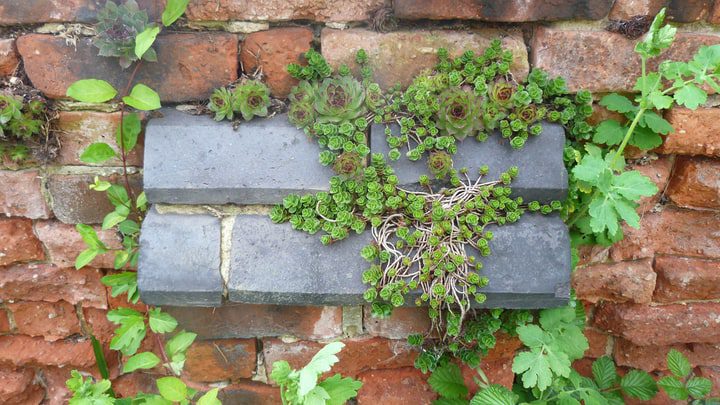 pequeño jardín de pared de ladrillo
