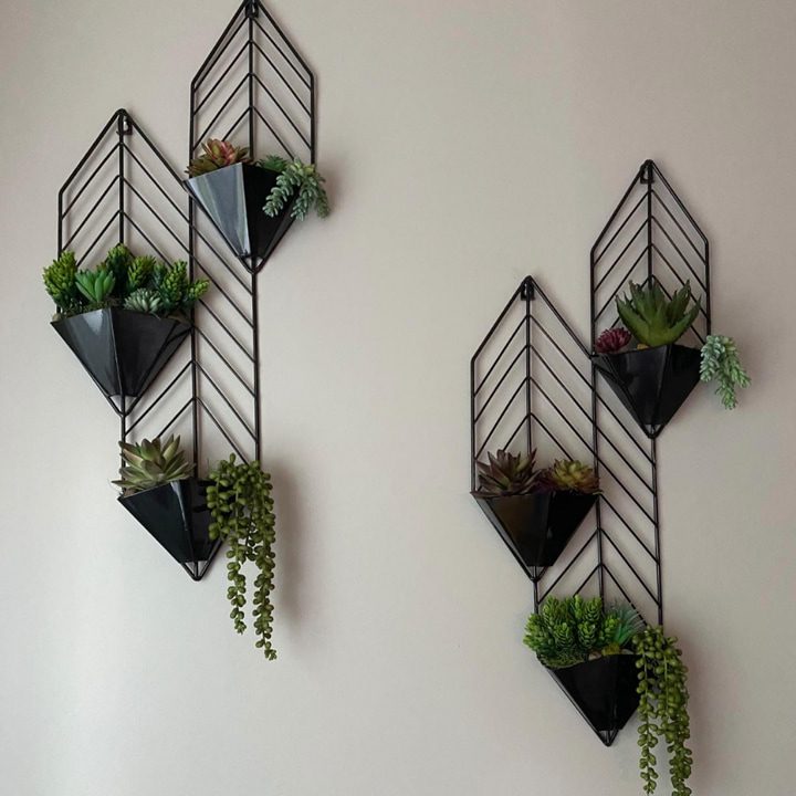 ¿cómo se cuelgan las plantas sin dañar las paredes?