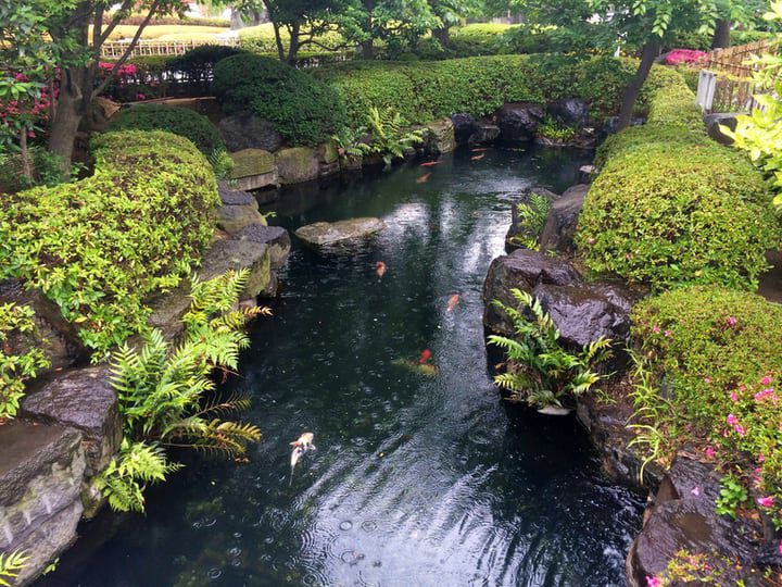 jardinería acuática en un río artificial