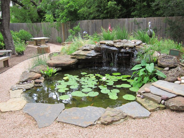 uso de rocas para perfilar elementos de jardinería acuática