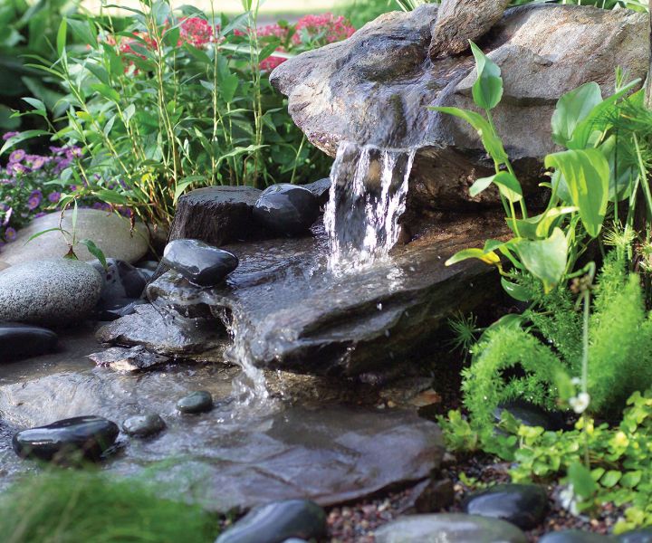 jardinería de bajo consumo de agua