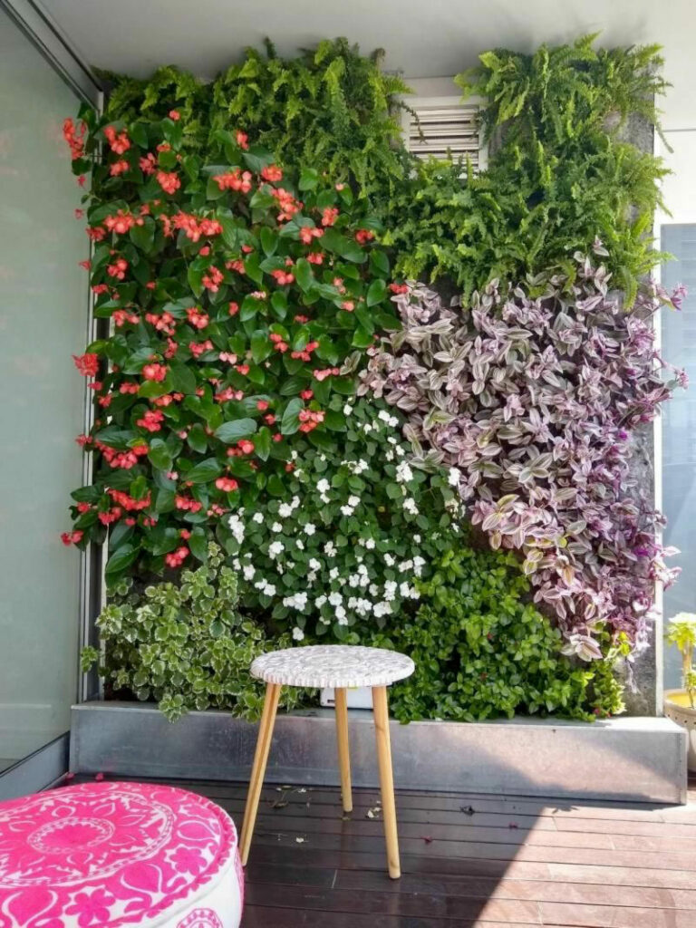▷ Cómo plantar enredaderas y crear un hermoso jardín vertical