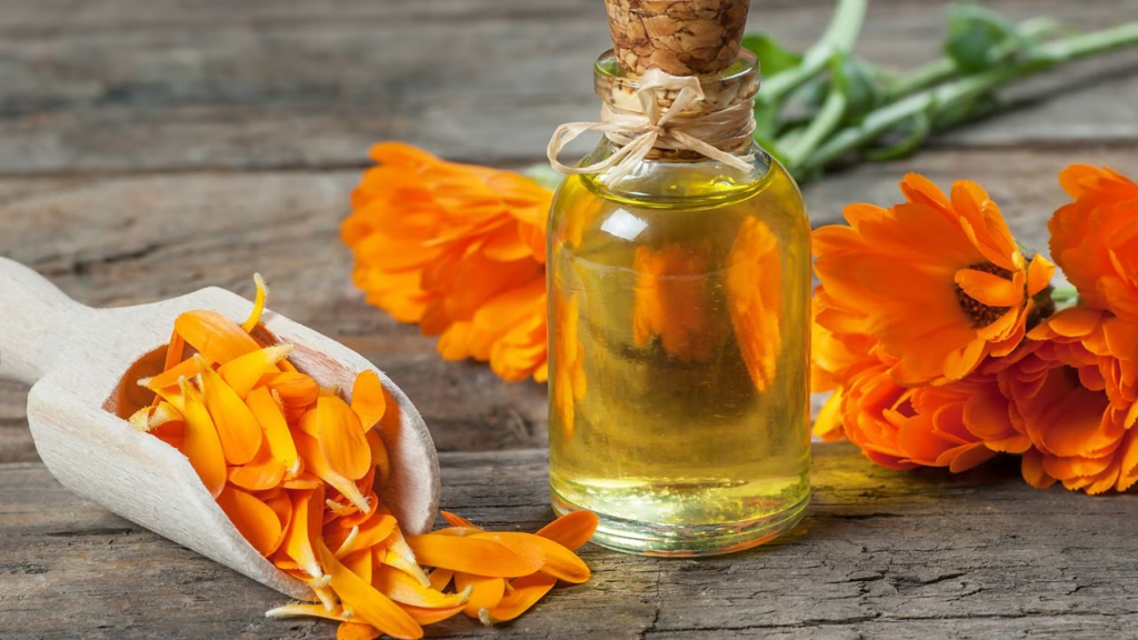 Plantas aromáticas: Aromas naturales para el hogar y la cocina